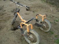 /album/fotogaleria/a305134-2341576872532-1295885621-n-jpg/