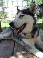 /album/fotogaleria/a1-jpg/