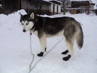 /album/fotogaleria/dsc04878-jpg/