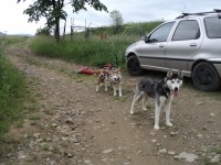 /album/fotogaleria/fgbhn-jpg/