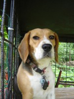 /album/fotogaleria/a105-jpg/