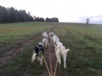 /album/fotogaleria/dsc04182-jpg/