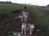 /album/fotogaleria/dsc04188-jpg/