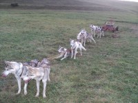 /album/fotogaleria/dsc04189-jpg/