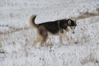 /album/fotogaleria/dsc-0971-jpg/