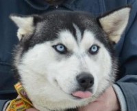 /album/fotogaleria/a705404-461125040591996-1380320379-o-jpg/