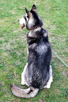 /album/fotogaleria/a10151649-815314661831486-1244795329-n-jpg/