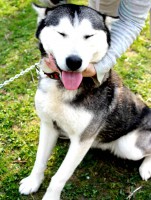 /album/fotogaleria/a10153578-815314461831506-1019170739-n-jpg/