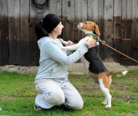 /album/fotogaleria/a10171373-815314401831512-107360683-o-jpg/