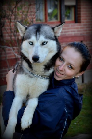 Elis - Wolf from Alaska