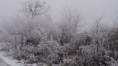 /album/sezona-2013-2014/a1aa-jpg/