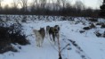 /album/sezona-2013-2014/dsc07133-jpg/