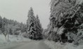 /album/sezona-2014-2015/a20150131-104856-jpg/